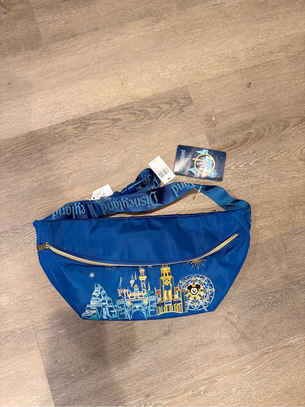 Disneyland Resort Embroidered Belt Bag